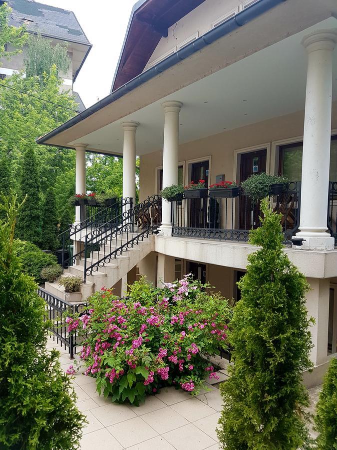 Zupan Apartmani Sokobanja Extérieur photo